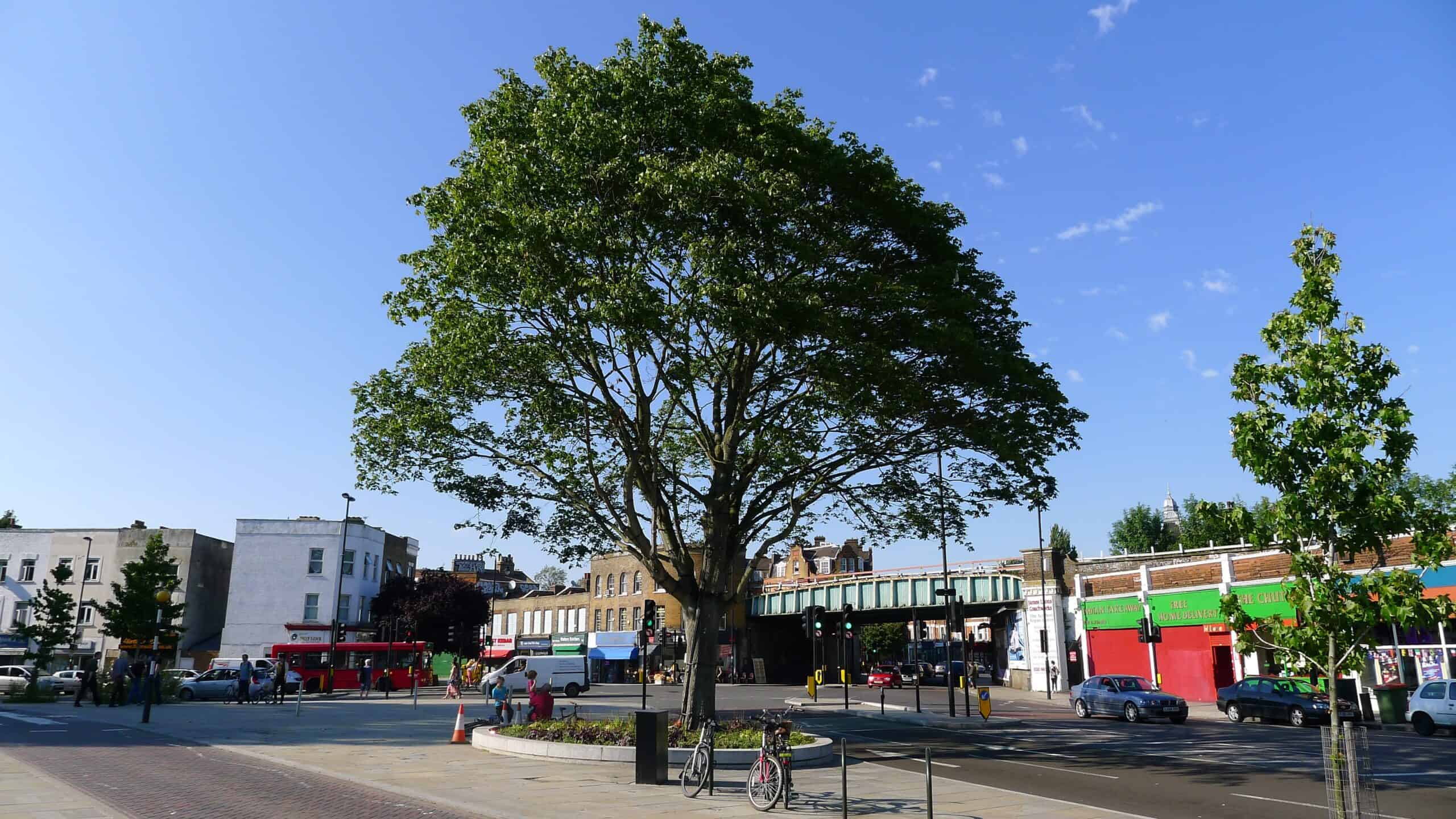 Lush green tree on a sunny urban street with shops, pedestrians, cars, and a bridge in the background, showcasing a vibrant city scene in London and Berkshire.