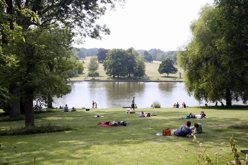Relaxing outdoors by a lake in a sunny park with trees and grass, people enjoying picnic and leisure time on a warm day.